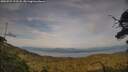 ./images/calvert/fitz-hugh-hecate/20250727/fitz-hugh-hecate20250727_192508M.jpg