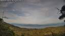 ./images/calvert/fitz-hugh-hecate/20250727/fitz-hugh-hecate20250727_193008M.jpg
