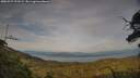 ./images/calvert/fitz-hugh-hecate/20250727/fitz-hugh-hecate20250727_193509M.jpg