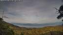 ./images/calvert/fitz-hugh-hecate/20250727/fitz-hugh-hecate20250727_194508M.jpg