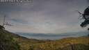 ./images/calvert/fitz-hugh-hecate/20250727/fitz-hugh-hecate20250727_195008M.jpg