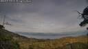 ./images/calvert/fitz-hugh-hecate/20250727/fitz-hugh-hecate20250727_195508M.jpg