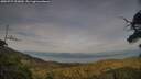 ./images/calvert/fitz-hugh-hecate/20250727/fitz-hugh-hecate20250727_200009M.jpg