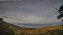 ./images/calvert/fitz-hugh-hecate/20250727/fitz-hugh-hecate20250727_200507M.jpg