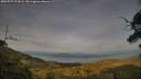 ./images/calvert/fitz-hugh-hecate/20250727/fitz-hugh-hecate20250727_201008M.jpg