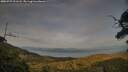 ./images/calvert/fitz-hugh-hecate/20250727/fitz-hugh-hecate20250727_201507M.jpg