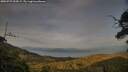 ./images/calvert/fitz-hugh-hecate/20250727/fitz-hugh-hecate20250727_202007M.jpg
