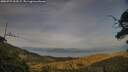 ./images/calvert/fitz-hugh-hecate/20250727/fitz-hugh-hecate20250727_202507M.jpg
