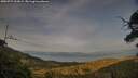 ./images/calvert/fitz-hugh-hecate/20250727/fitz-hugh-hecate20250727_203009M.jpg