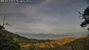 ./images/calvert/fitz-hugh-hecate/20250727/fitz-hugh-hecate20250727_203505M.jpg