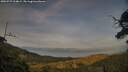 ./images/calvert/fitz-hugh-hecate/20250727/fitz-hugh-hecate20250727_204009M.jpg