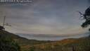 ./images/calvert/fitz-hugh-hecate/20250727/fitz-hugh-hecate20250727_204507M.jpg