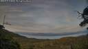 ./images/calvert/fitz-hugh-hecate/20250727/fitz-hugh-hecate20250727_210009M.jpg