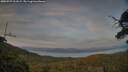./images/calvert/fitz-hugh-hecate/20250727/fitz-hugh-hecate20250727_211007M.jpg