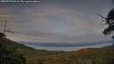 ./images/calvert/fitz-hugh-hecate/20250727/fitz-hugh-hecate20250727_211509M.jpg