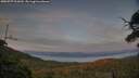 ./images/calvert/fitz-hugh-hecate/20250727/fitz-hugh-hecate20250727_212009M.jpg