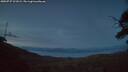 ./images/calvert/fitz-hugh-hecate/20250727/fitz-hugh-hecate20250727_221009M.jpg