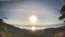 ./images/calvert/fitz-hugh-hecate/20250728/fitz-hugh-hecate20250728_070509M.jpg