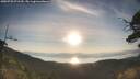./images/calvert/fitz-hugh-hecate/20250728/fitz-hugh-hecate20250728_071510M.jpg