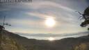 ./images/calvert/fitz-hugh-hecate/20250728/fitz-hugh-hecate20250728_073510M.jpg