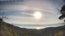 ./images/calvert/fitz-hugh-hecate/20250728/fitz-hugh-hecate20250728_074509M.jpg