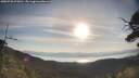 ./images/calvert/fitz-hugh-hecate/20250728/fitz-hugh-hecate20250728_075011M.jpg