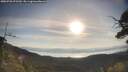 ./images/calvert/fitz-hugh-hecate/20250728/fitz-hugh-hecate20250728_075510M.jpg