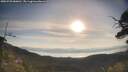 ./images/calvert/fitz-hugh-hecate/20250728/fitz-hugh-hecate20250728_080011M.jpg