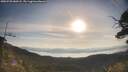 ./images/calvert/fitz-hugh-hecate/20250728/fitz-hugh-hecate20250728_080508M.jpg