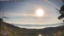 ./images/calvert/fitz-hugh-hecate/20250728/fitz-hugh-hecate20250728_081009M.jpg