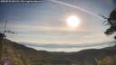 ./images/calvert/fitz-hugh-hecate/20250728/fitz-hugh-hecate20250728_081511M.jpg
