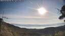 ./images/calvert/fitz-hugh-hecate/20250728/fitz-hugh-hecate20250728_082510M.jpg