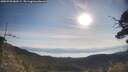 ./images/calvert/fitz-hugh-hecate/20250728/fitz-hugh-hecate20250728_083509M.jpg