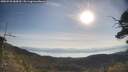 ./images/calvert/fitz-hugh-hecate/20250728/fitz-hugh-hecate20250728_084509M.jpg