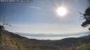 ./images/calvert/fitz-hugh-hecate/20250728/fitz-hugh-hecate20250728_085010M.jpg