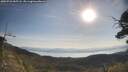 ./images/calvert/fitz-hugh-hecate/20250728/fitz-hugh-hecate20250728_085508M.jpg