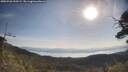 ./images/calvert/fitz-hugh-hecate/20250728/fitz-hugh-hecate20250728_090509M.jpg