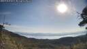 ./images/calvert/fitz-hugh-hecate/20250728/fitz-hugh-hecate20250728_091008M.jpg