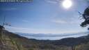 ./images/calvert/fitz-hugh-hecate/20250728/fitz-hugh-hecate20250728_094010M.jpg