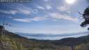 ./images/calvert/fitz-hugh-hecate/20250728/fitz-hugh-hecate20250728_101008M.jpg