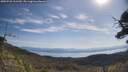 ./images/calvert/fitz-hugh-hecate/20250728/fitz-hugh-hecate20250728_101510M.jpg