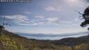 ./images/calvert/fitz-hugh-hecate/20250728/fitz-hugh-hecate20250728_103504M.jpg