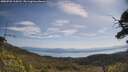 ./images/calvert/fitz-hugh-hecate/20250728/fitz-hugh-hecate20250728_104510M.jpg