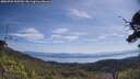 ./images/calvert/fitz-hugh-hecate/20250728/fitz-hugh-hecate20250728_105510M.jpg