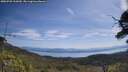 ./images/calvert/fitz-hugh-hecate/20250728/fitz-hugh-hecate20250728_110510M.jpg