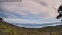 ./images/calvert/fitz-hugh-hecate/20250728/fitz-hugh-hecate20250728_115509M.jpg