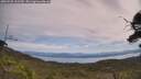 ./images/calvert/fitz-hugh-hecate/20250728/fitz-hugh-hecate20250728_121510M.jpg