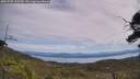 ./images/calvert/fitz-hugh-hecate/20250728/fitz-hugh-hecate20250728_123510M.jpg