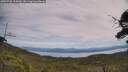 ./images/calvert/fitz-hugh-hecate/20250728/fitz-hugh-hecate20250728_125009M.jpg