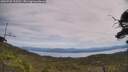 ./images/calvert/fitz-hugh-hecate/20250728/fitz-hugh-hecate20250728_125510M.jpg